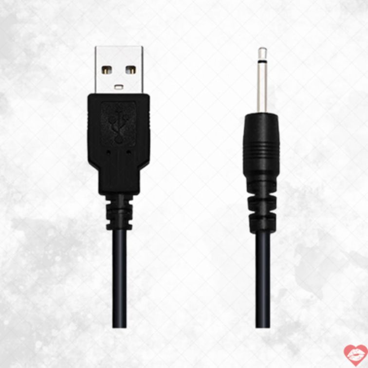 Dây Sạc Lovense Chính Hãng Bền Lâu An Toàn 