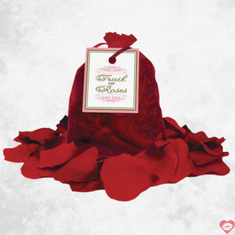 Trail Roses Hoa Hồng Giả Lãng Mạn Nóng Bỏng Hấp Dẫn 