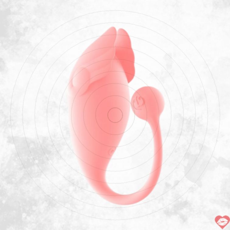 Zalo Amour Trứng Rung Hồng Remote Mềm Thăng Hoa 